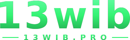 13wib logo